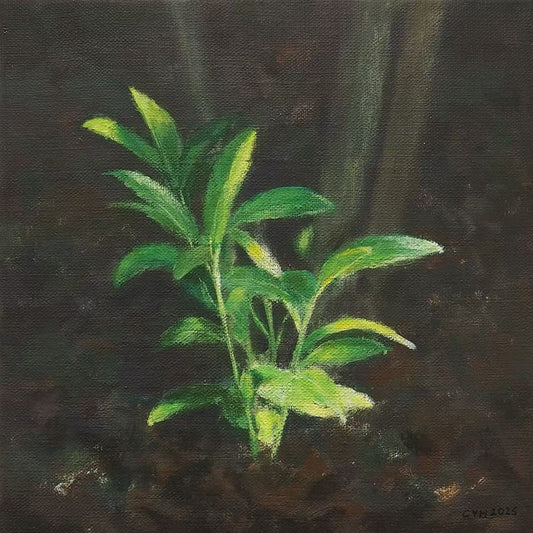 Sapling