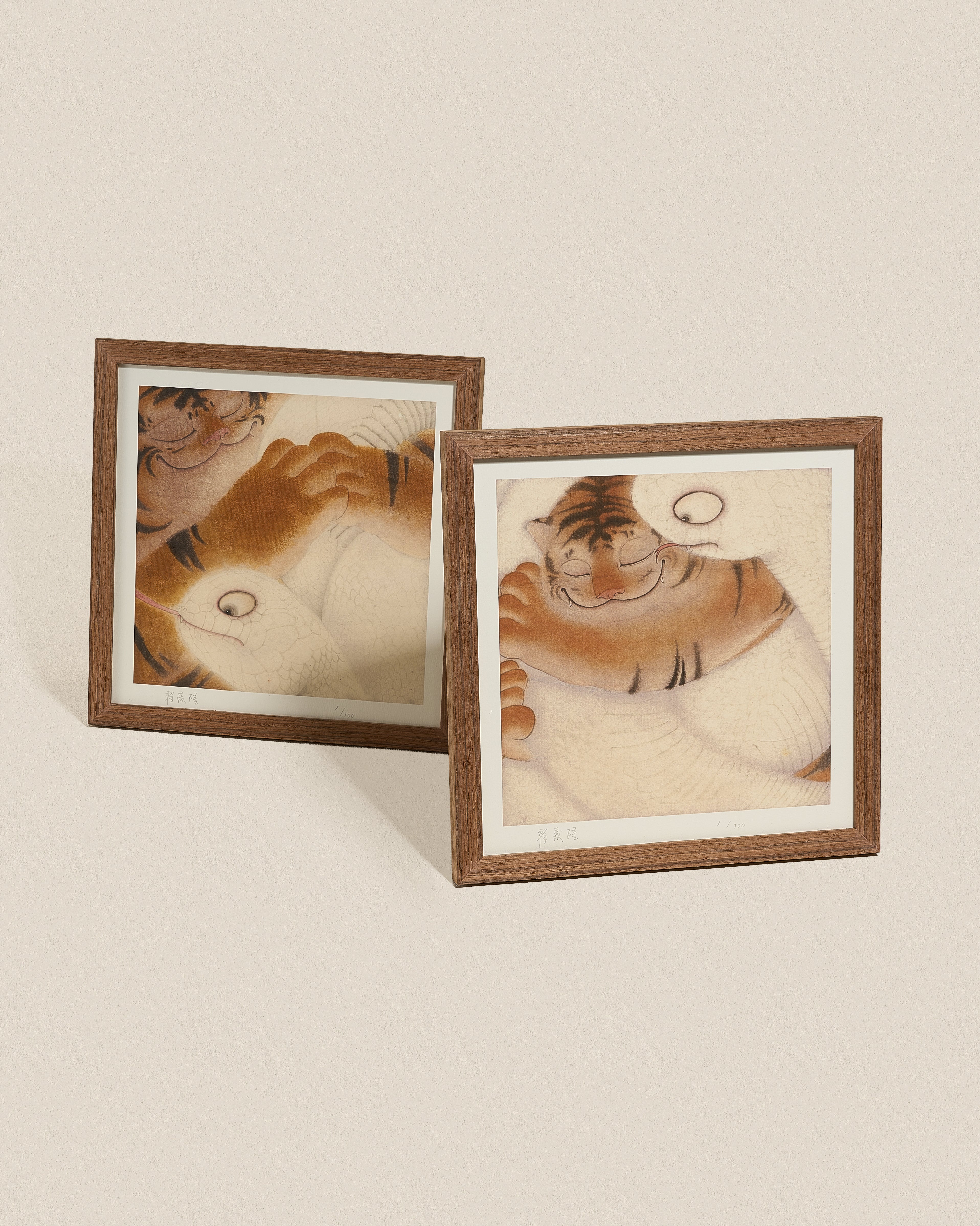 Limited Edition Harmony in Contrast Bundle Set