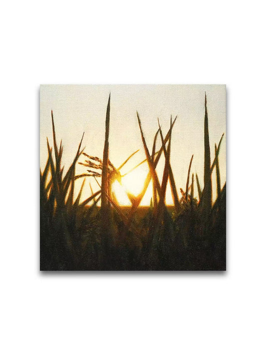 To The Sunlight