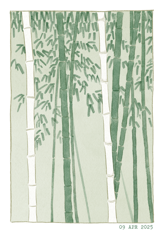 Bamboo Garden