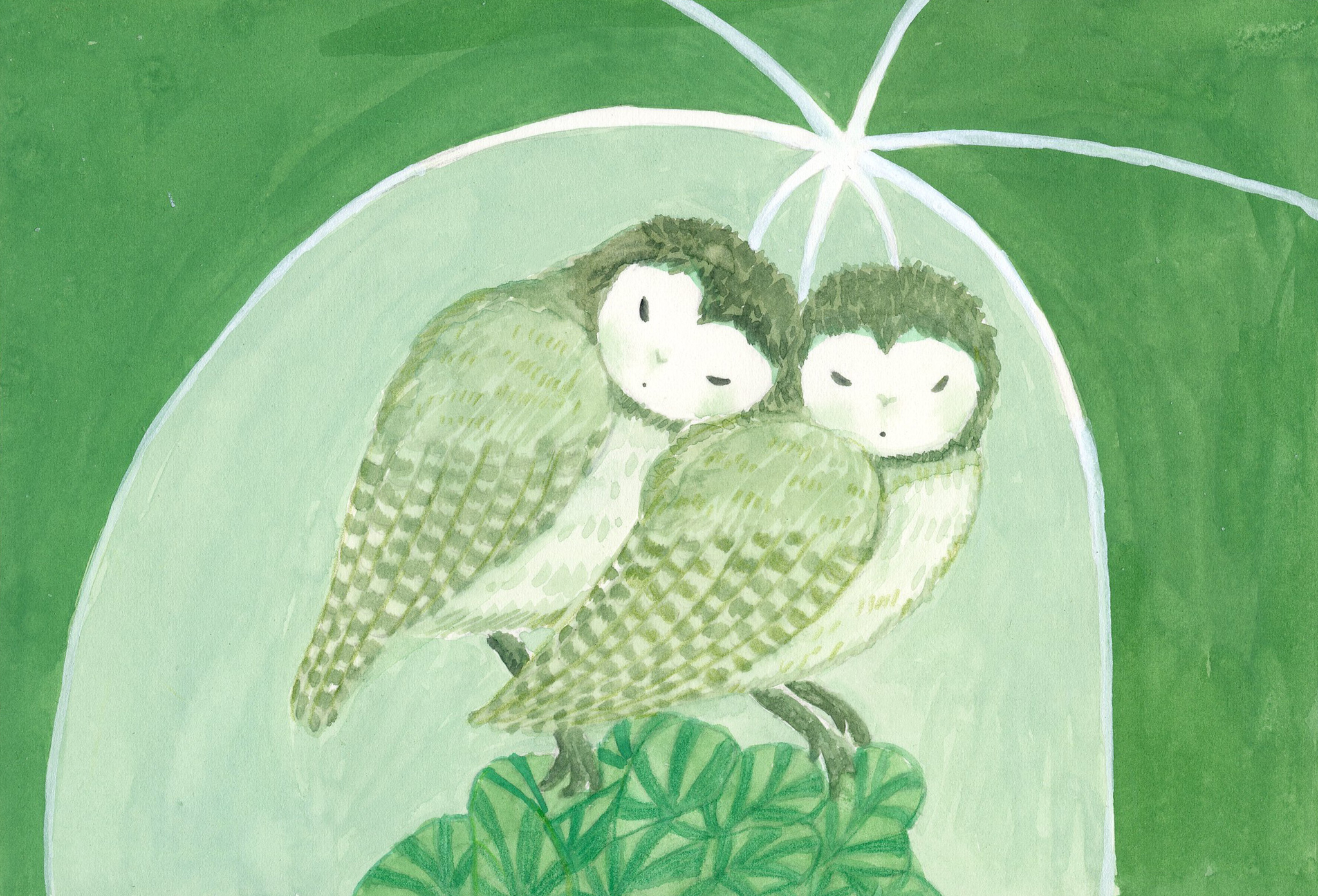 Shelter together