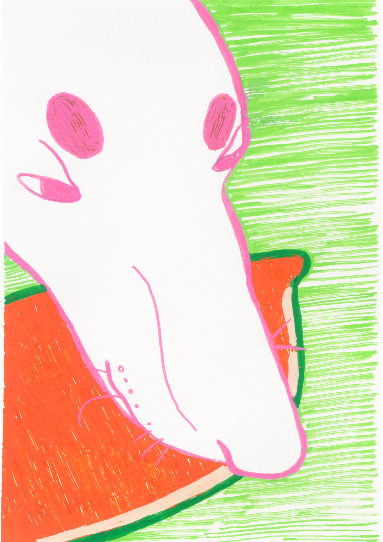 The Greyhound and French Bulldog