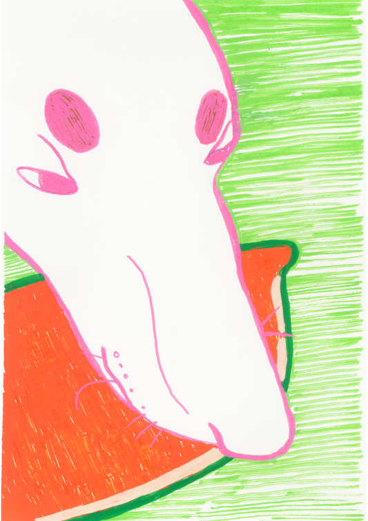 The Greyhound and French Bulldog