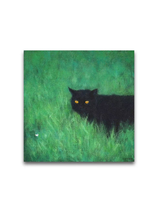 Little Black In The Grass