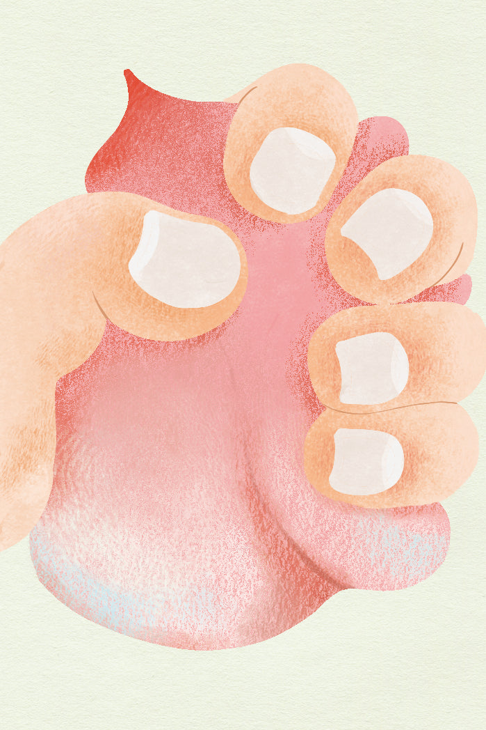 Soft Peach by Yisin Choi