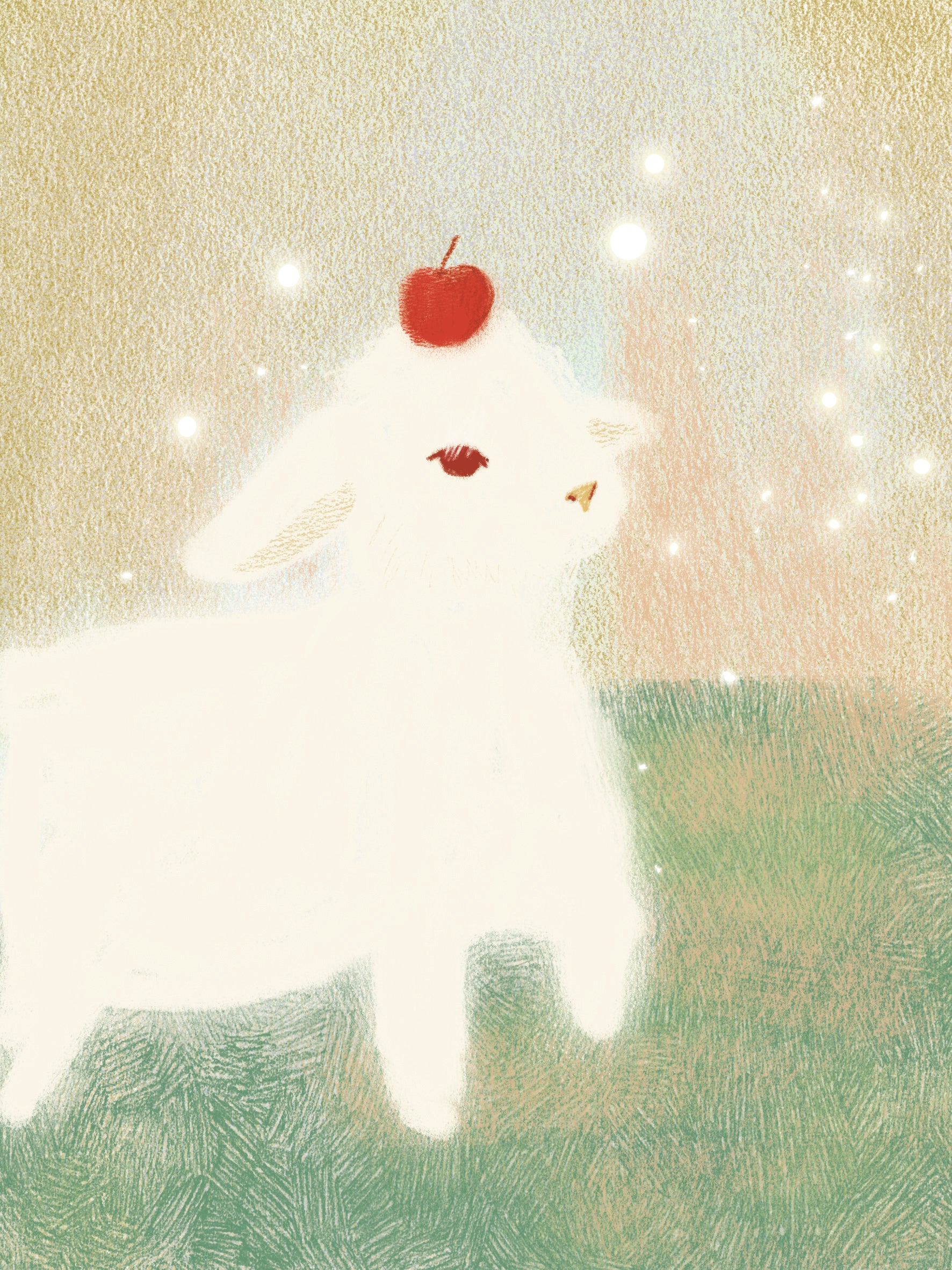 sheep from altay