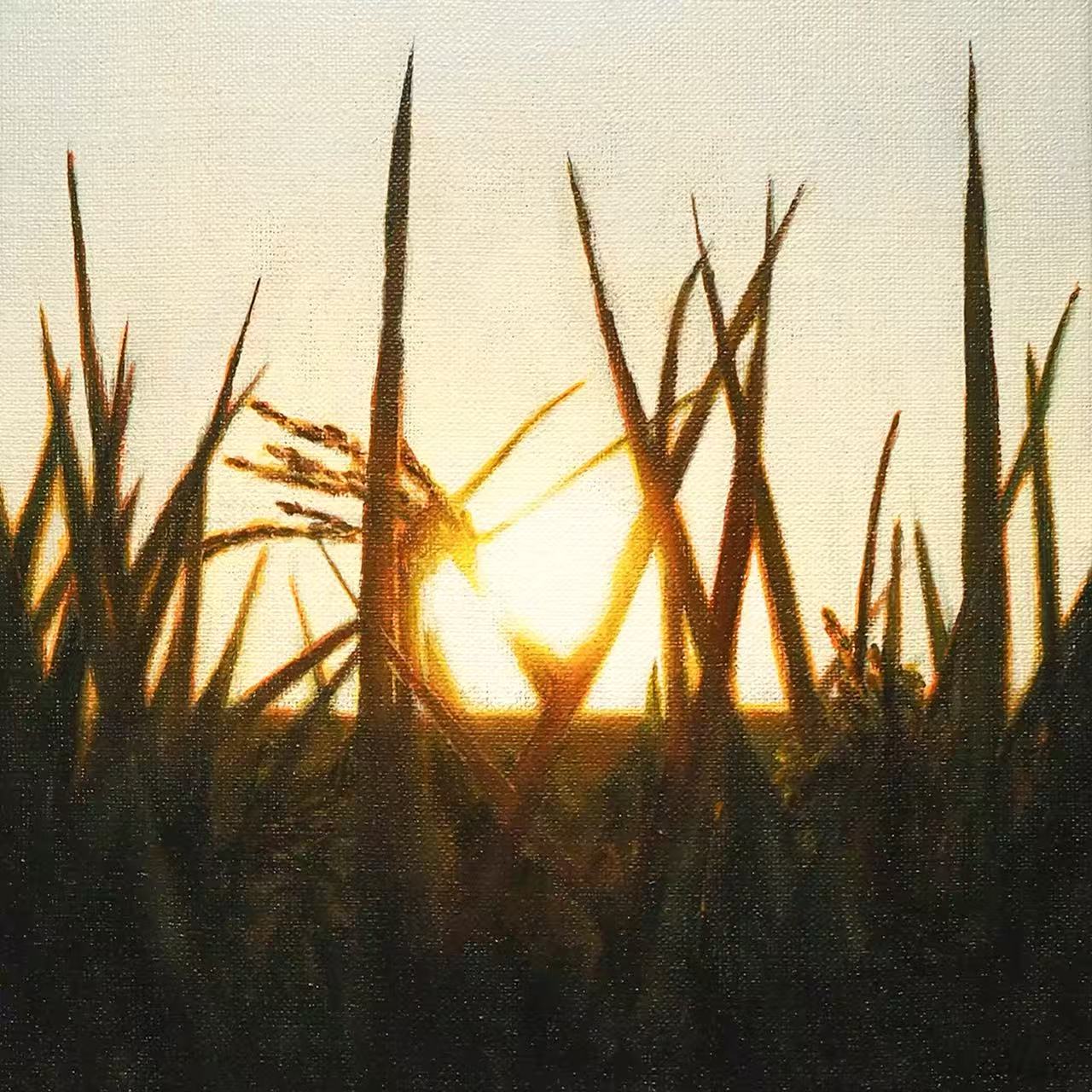 To The Sunlight