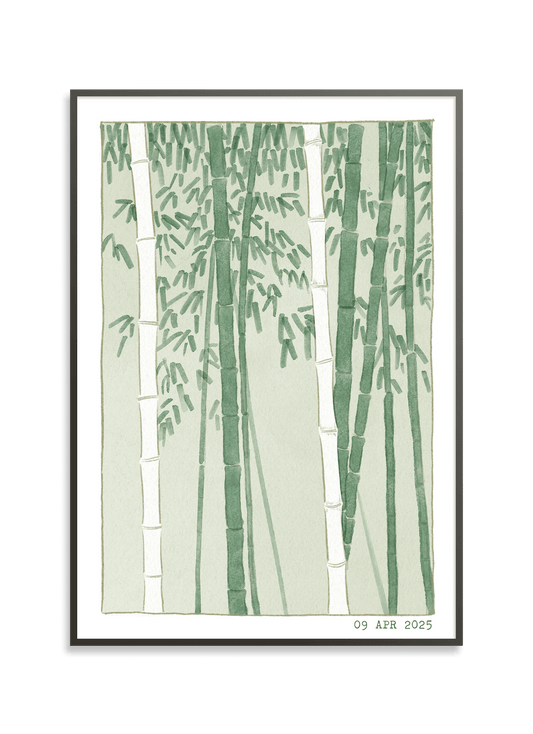 Bamboo Garden